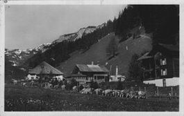 Alte Ansichtskarte Lenk i.S., Iffigenalp, datiert 1939.