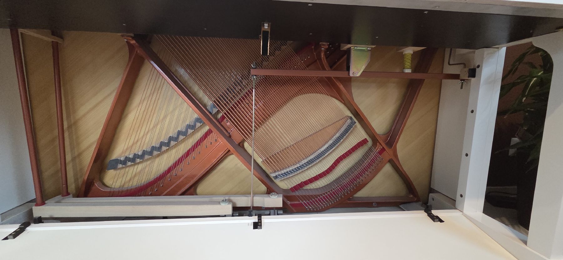 Feurich Strumenti musicali: Piano Feurich droit – Nuovo (secondo la descrizione) da Forel-Sur-Lucens venduto da guigui010 3