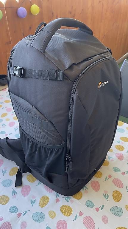 Lowepro Zaini: Sac à dos photo Lowepro Flipside 500 – Usato da La Tour-de-Peilz venduto da Danjor