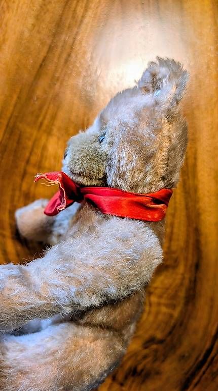 Jouets: Steiff Teddy – D'occasion à Subingen par Rusti79 2