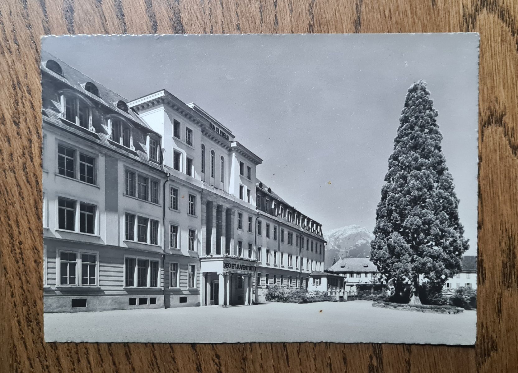 Cartoline postali: Kollegium Stans 60iger Jahre – Usato da Ebikon venduto da Donar50