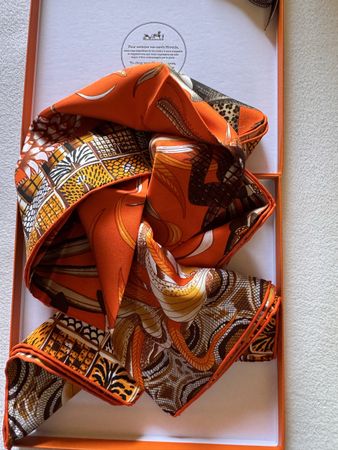 Hermès carré 90 Marche du Zambeze 