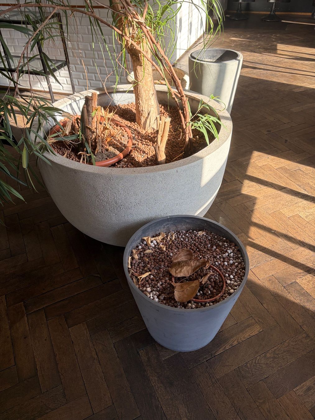 Pots de fleurs: Pflanzenkübel 4 Stk. – D'occasion à Zürich par gis_dpj9 3