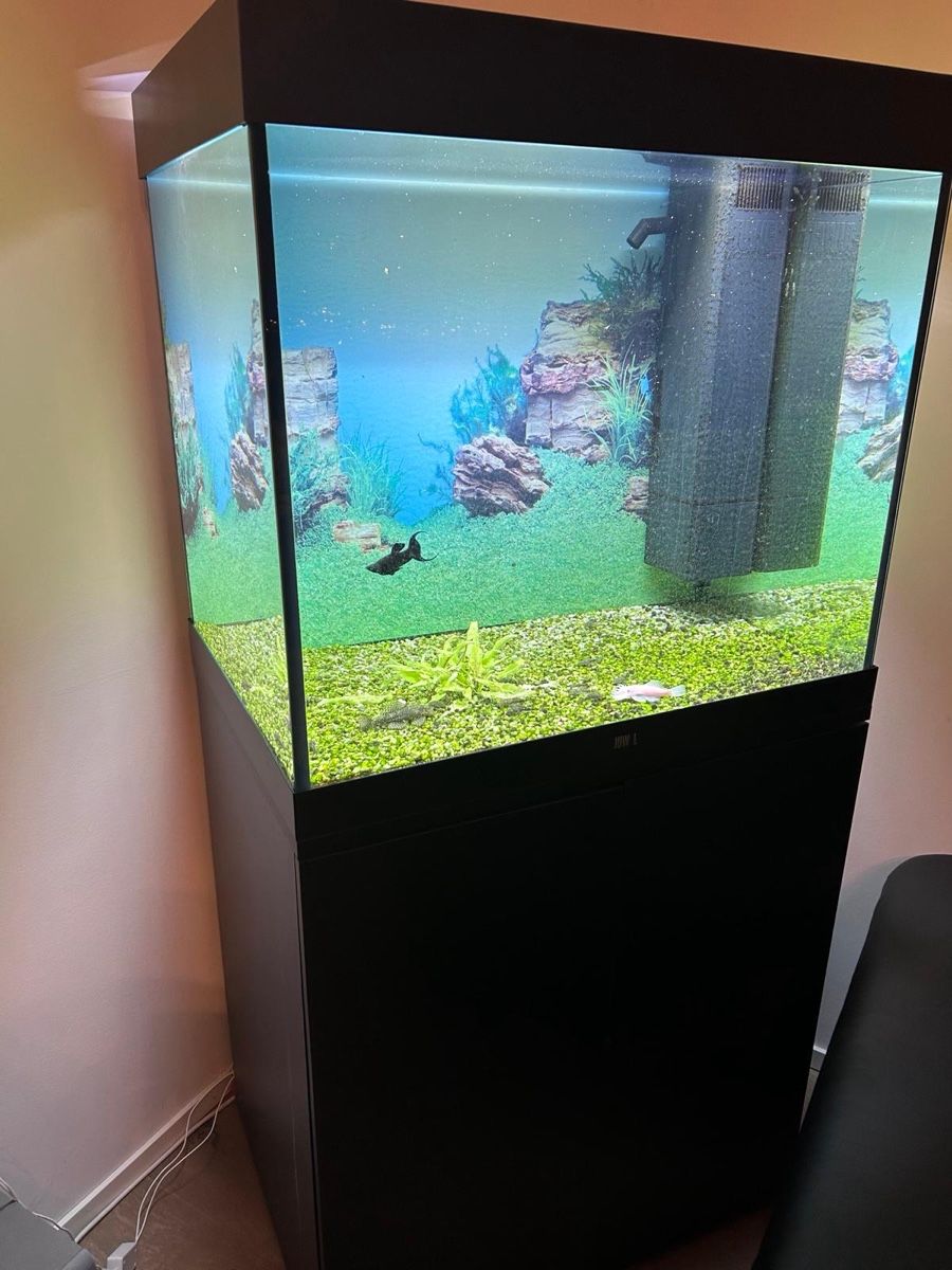 Juwel Acquari: Juwel 200L Aquarium mit LED + Unterschrank – Usato da Gossau ZH venduto da bij_y9mb