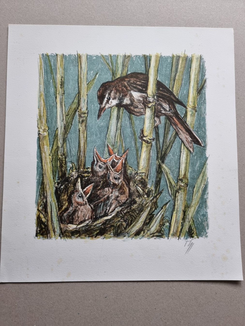 Grafiken & Lithographien: Diggelmann Alex Walter  LITHOGRAPHIE SIGNIERT – Gebraucht aus Gersau von kunst-online