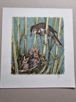 Diggelmann Alex Walter  LITHOGRAPHIE SIGNIERT