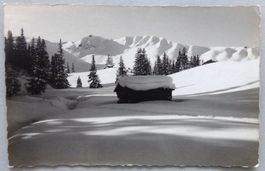 Paysage d' hiver