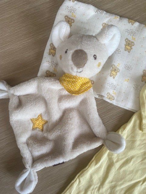 Kleiderpakete & -sets: neues Baby Set Gr. 62 "Koala" – Neu (gemäss Beschreibung) aus Staufen von Nasli 1
