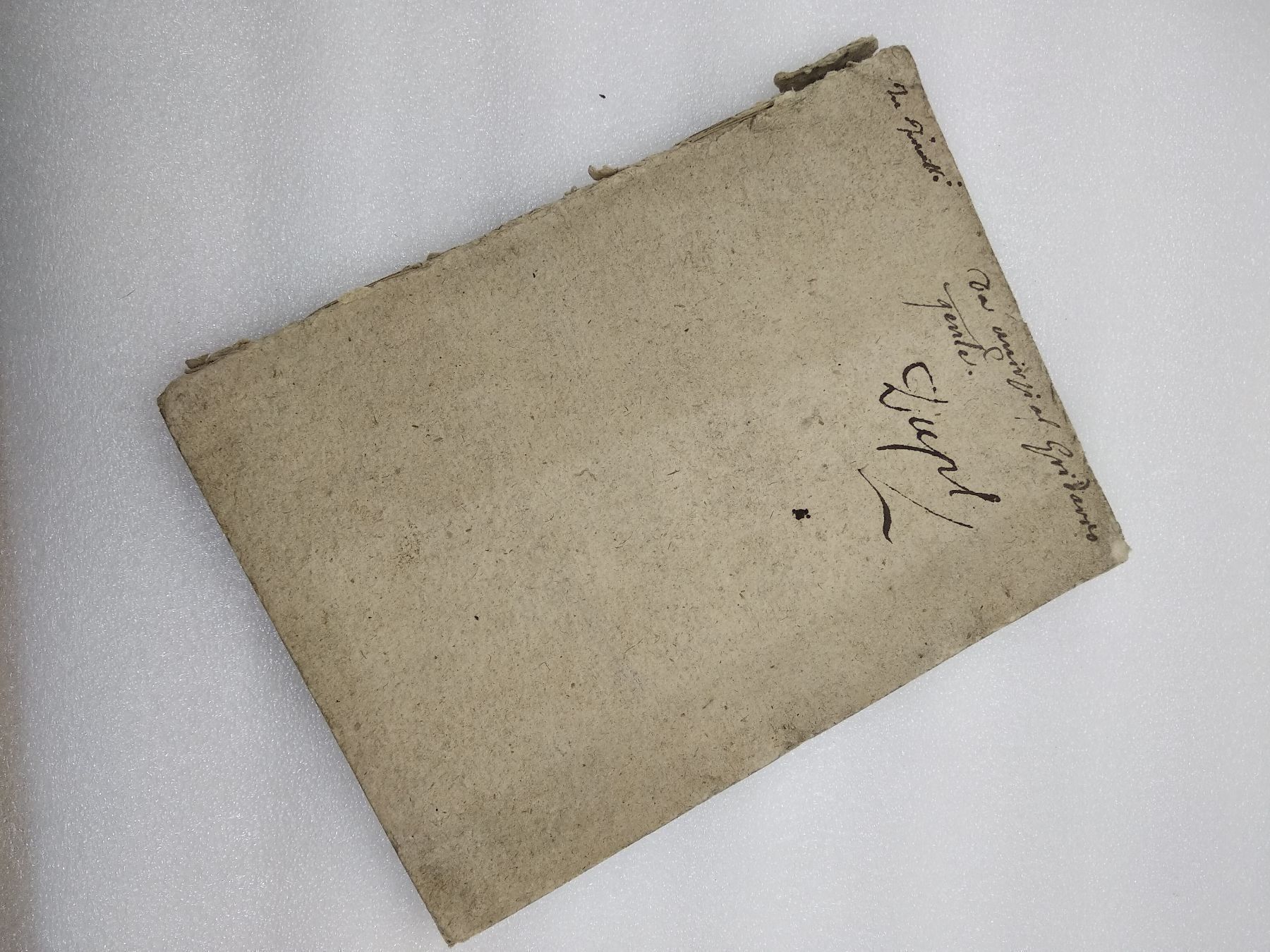 Libri: BINA SCRIPTA 1741 – Usato da Goldach venduto da Gaip 5