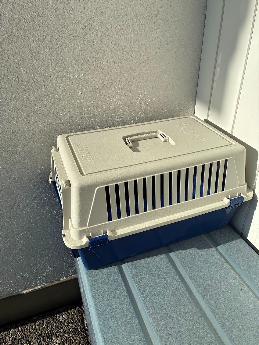 Gabbie, trasporto & Sicurezza: Transportbox/Reisebox für Katze oder kleine Hunde – Usato da Emmenbrücke venduto da cadixchip 1