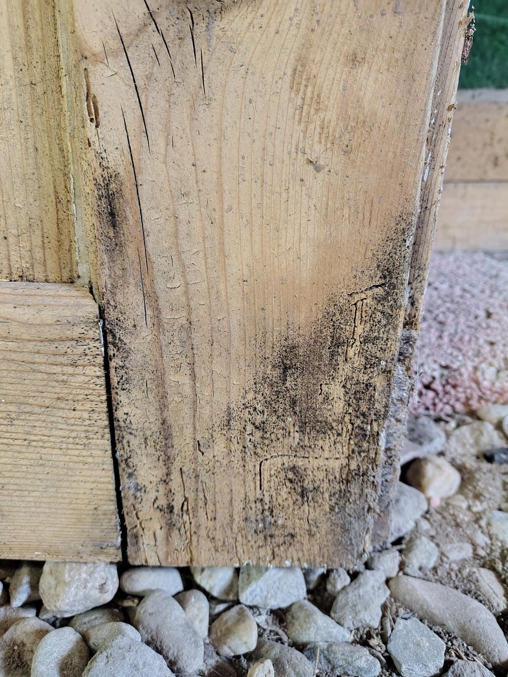 Porte: Holztür – Difettoso da Cazis venduto da jaiyen 4