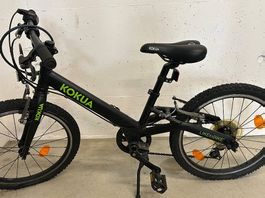 LIKEtoBIKE 20 Kokua