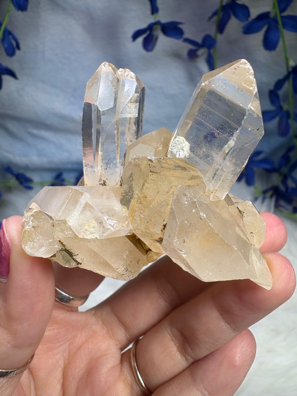 Minerali & Pietre curative: Laotischer Clear Quartz Cluster – Nuovo (secondo la descrizione) da Neuheim venduto da m.hald 5
