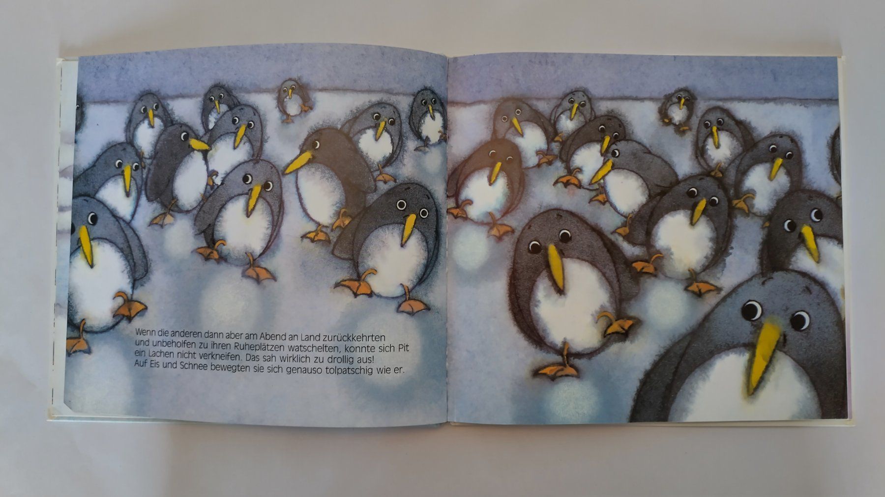 Libri: Pinguin Pit - Marcus Pfister / Bilderbuch ab Fr. 5.- – Usato da Bellach venduto da JingleJerry 5