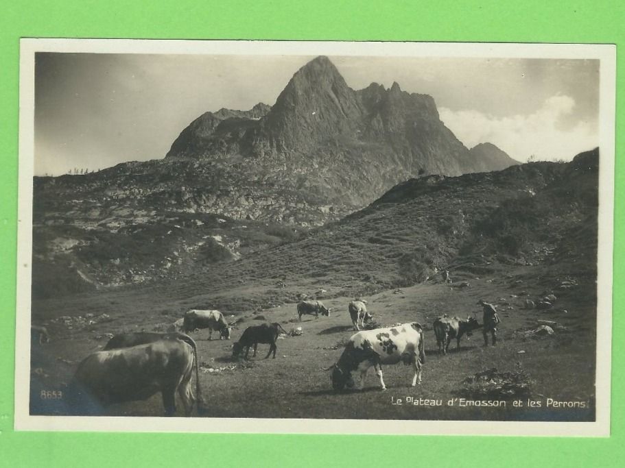 Cartoline postali: Le Plateau d'Emasson et les Perrons – Nuovo (secondo la descrizione) da Zürich venduto da t24_de