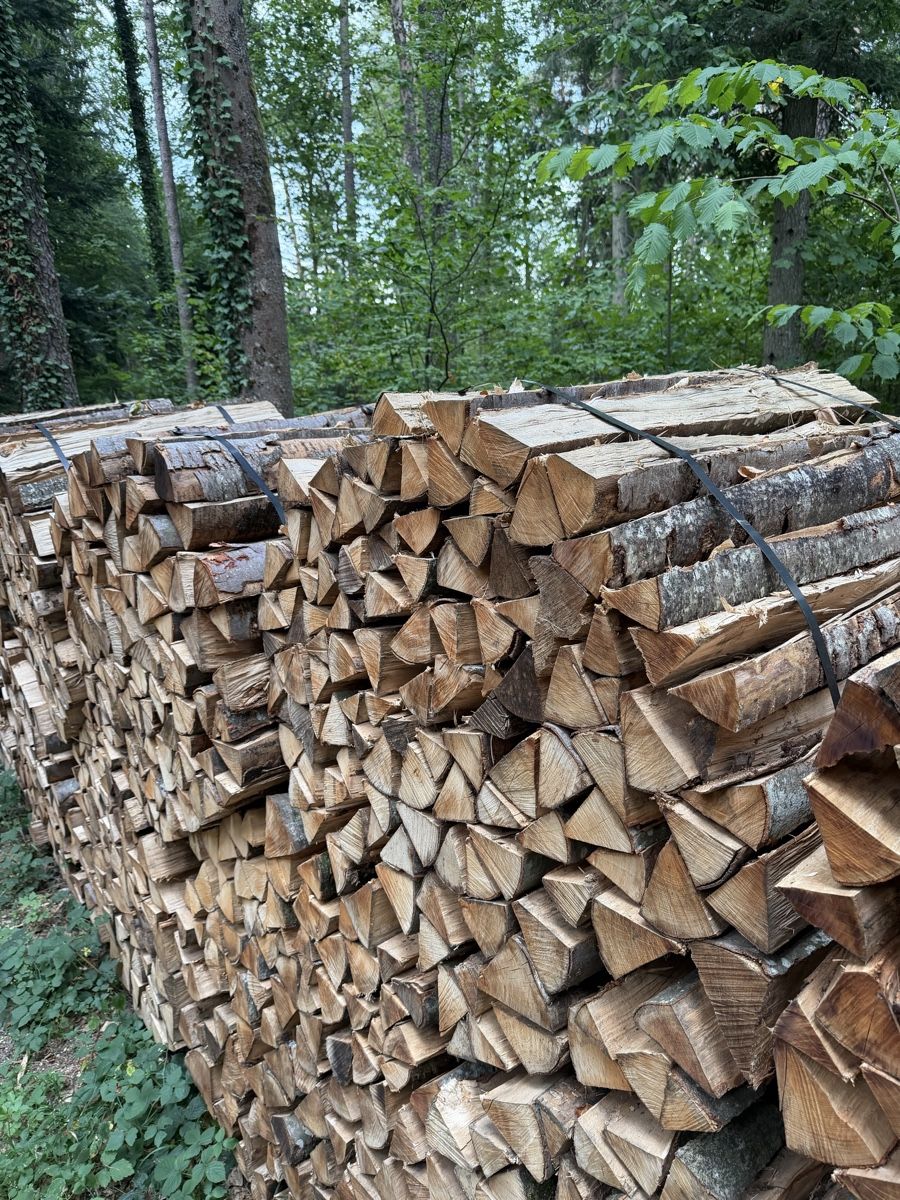 Holzartikel: Buchen Brennholz 26 Ster – Neu (gemäss Beschreibung) aus Liesberg Dorf von hur_ksp9 1