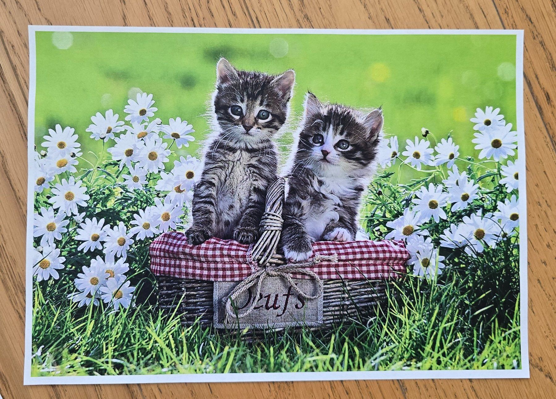 Ravensburger Puzzles: Puzzle "Picknick auf der Wiese" – Gebraucht aus Wabern von Irakene 2