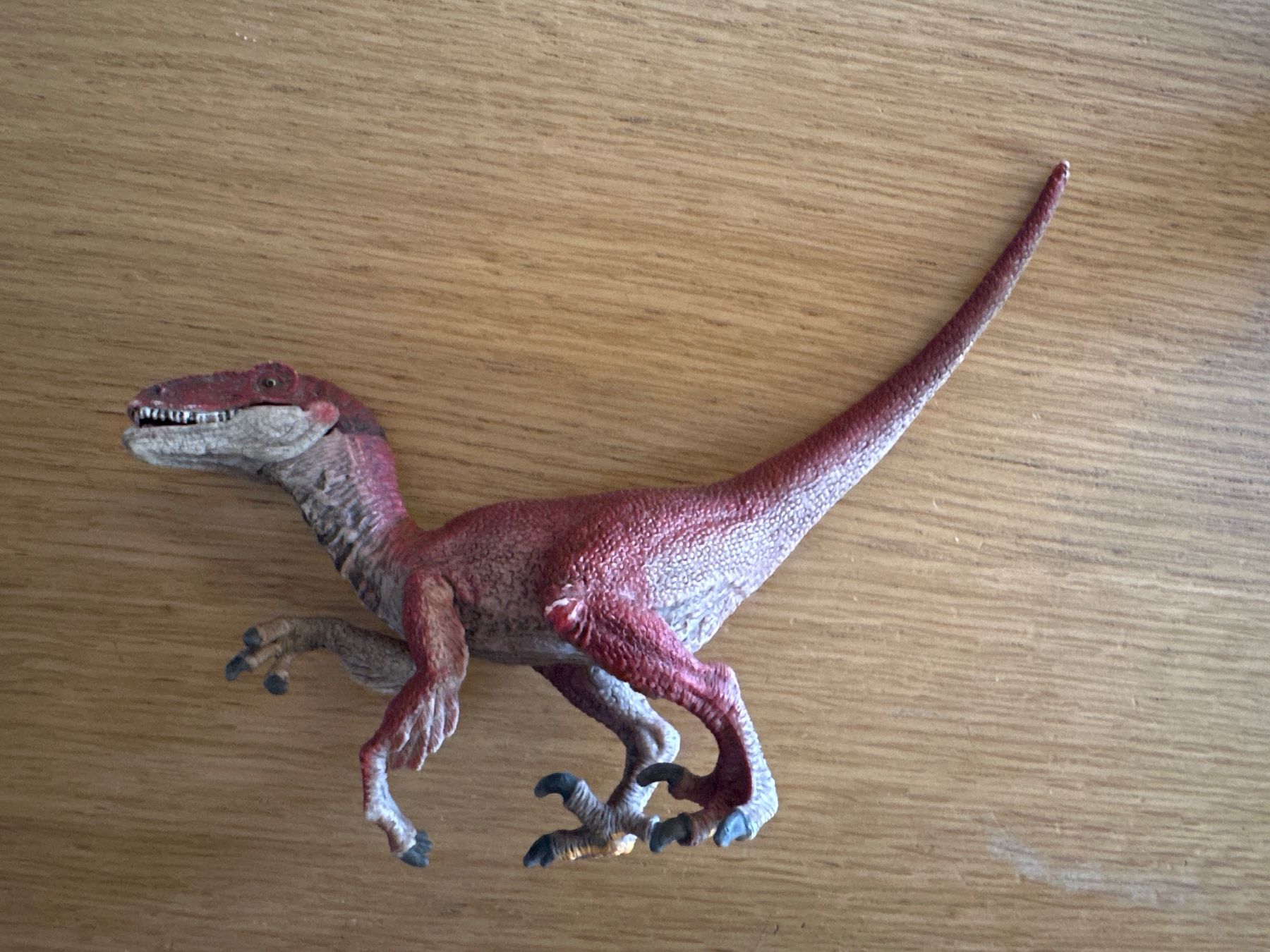 Spielzeuge: Dinosaurier Set – Gebraucht aus Rümlang von NStucki 4