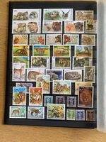 Grosses Briefmarkenalbum – internationale Sammlung