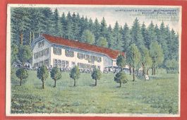 Egerkingen - Wirtschaft Blümlisalp - Bahnpoststempel 1932