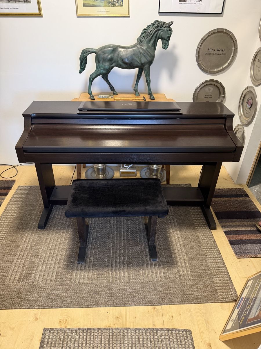 Yamaha Strumenti musicali: E-Piano Yamaha Clavinova – Usato da Oberwil-Lieli venduto da Ricardo_r323 2