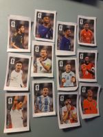 FIFA Coca Cola stickers completo