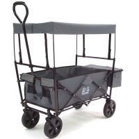 56601 - Bollerwagen - Grau Strandwagen Kinderwagen