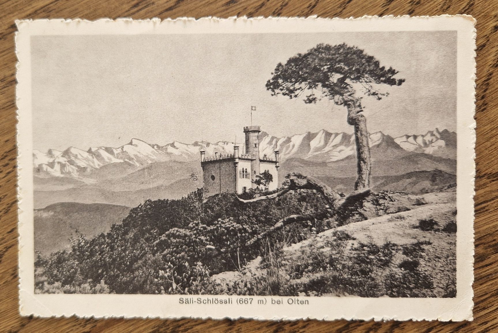 Cartes postales: Säli-Schlössli, Olten 1918 – D'occasion à Ebikon par Donar50