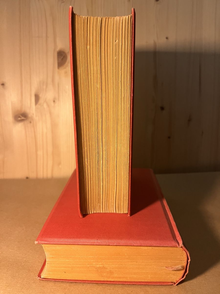 Libri: F. M. Dostojewski – Der Idiot – Usato da Muralto venduto da dan_pf8r 4
