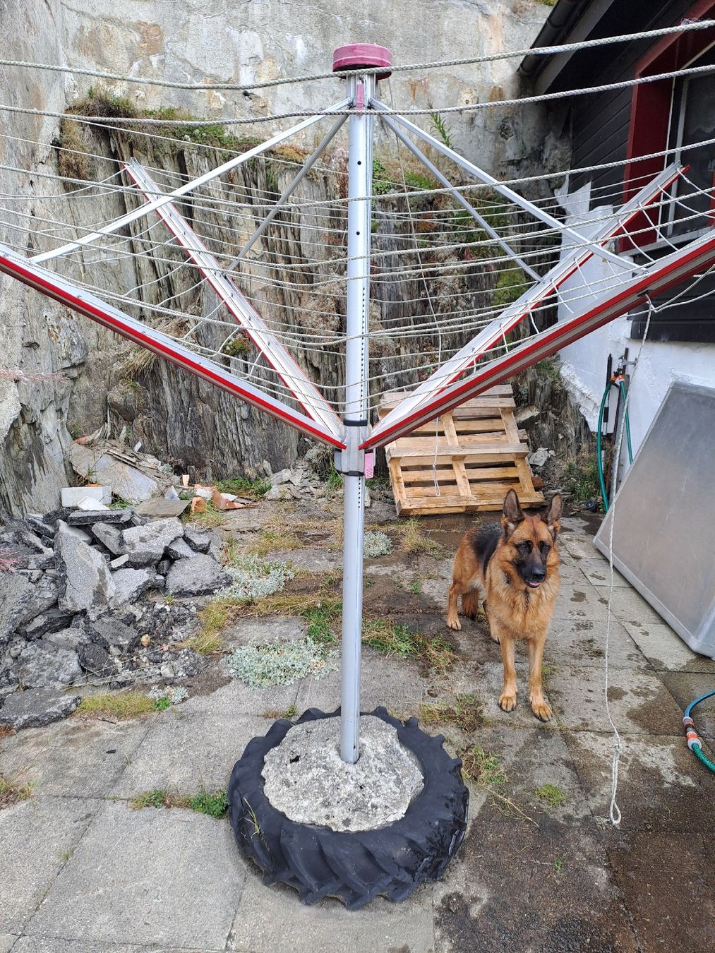 Stewi Stenditoi: Stewi Wäscheständer – Usato da Andermatt venduto da Fred2552