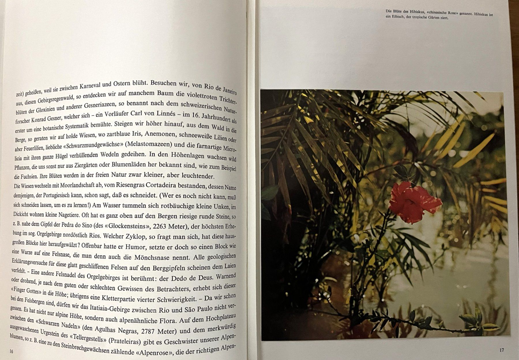 Libri: Silva Verlag, Brasilien , 1964 – Usato da Oftringen venduto da Vucki 4