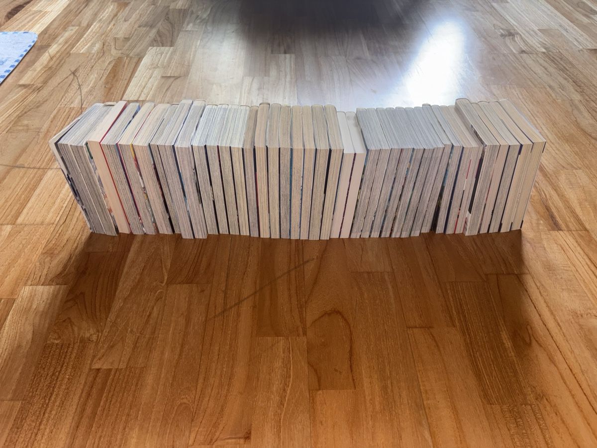 Bücher: Lot de 38 mangas VF – Gebraucht aus La Chaux-de-Fonds von hug_y9hf 2