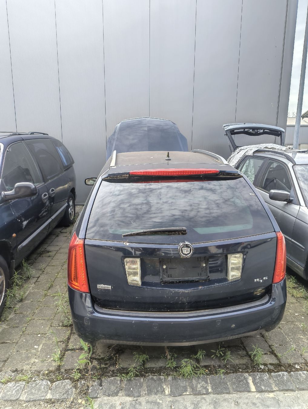 Cadillac Automobili: Caddilac BLS   – Difettoso da lüchingen venduto da haa_5jd6 1
