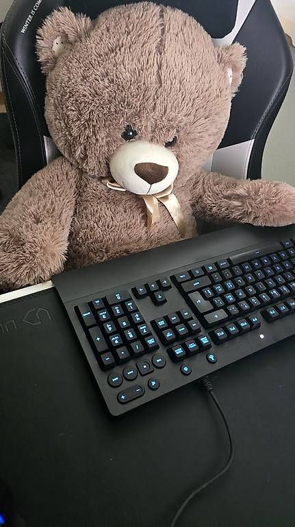 Giocattoli: Teddybär Gross – Usato da Rümlang venduto da Blackerian 1