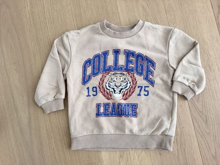 Pullover Gr. 104