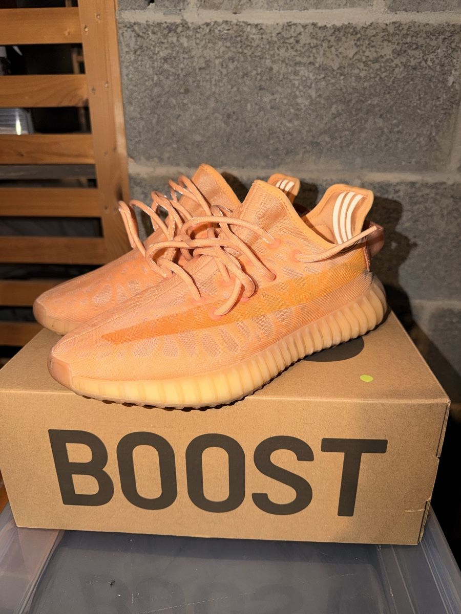Adidas Herrenschuhe: Yeezy boost 350 V2 – Neu (gemäss Beschreibung) aus Argnou (Ayent) von nathanckcw