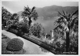 Brissago (TI) Brenscino Lago Maggiore G