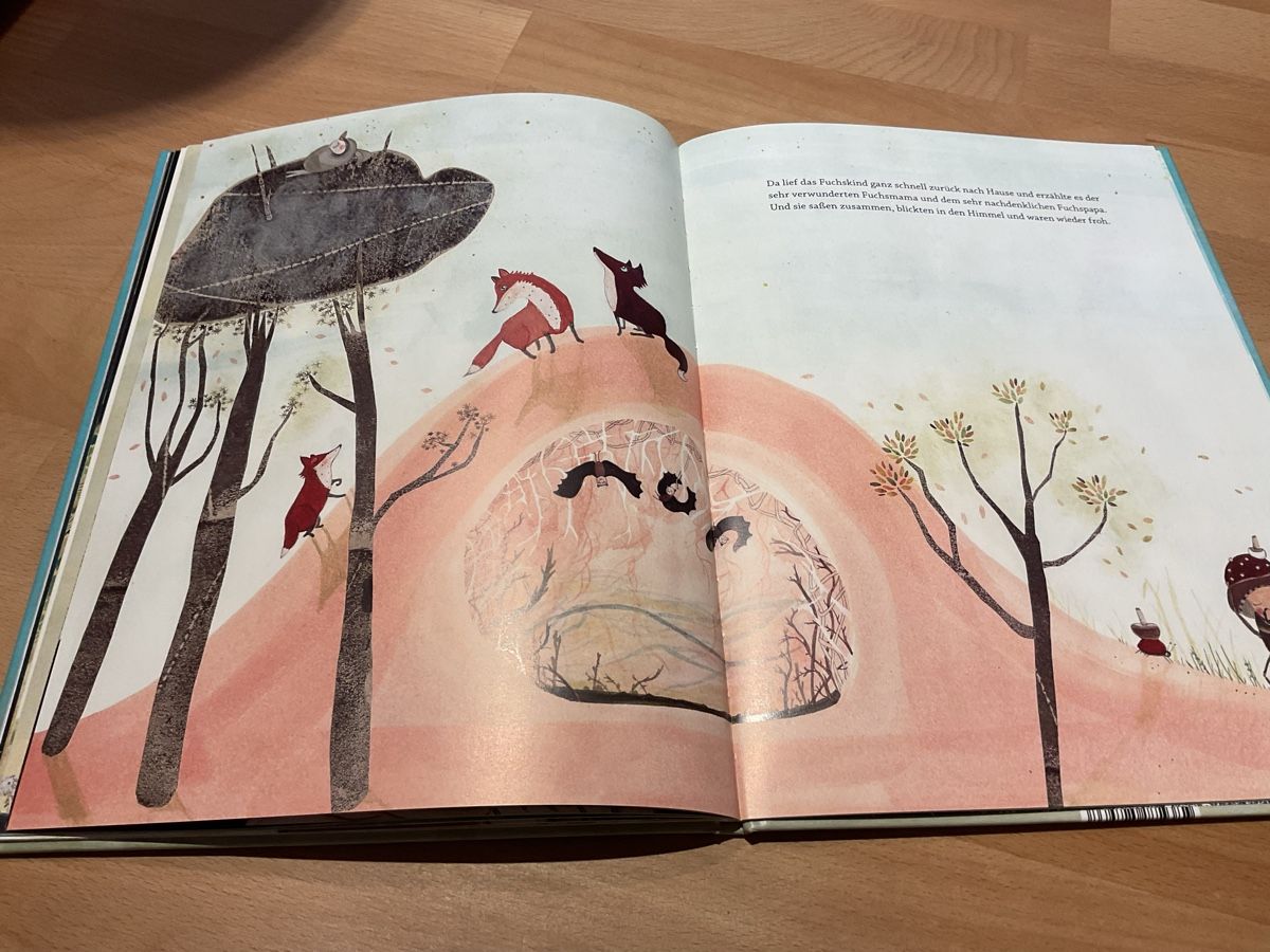 Libri: Kinderbuch KleinerFuchs Grosser Himmel 3+ – Nuovo (secondo la descrizione) da Wil ZH venduto da RiccardaWegmann 7