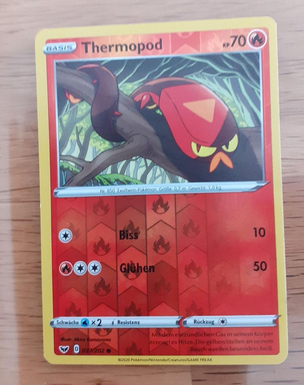 Pokémon Sammelbilder & Trading cards: Pokemon Karte Thermopod – Neu (gemäss Beschreibung) aus Unterlangenegg von vitas