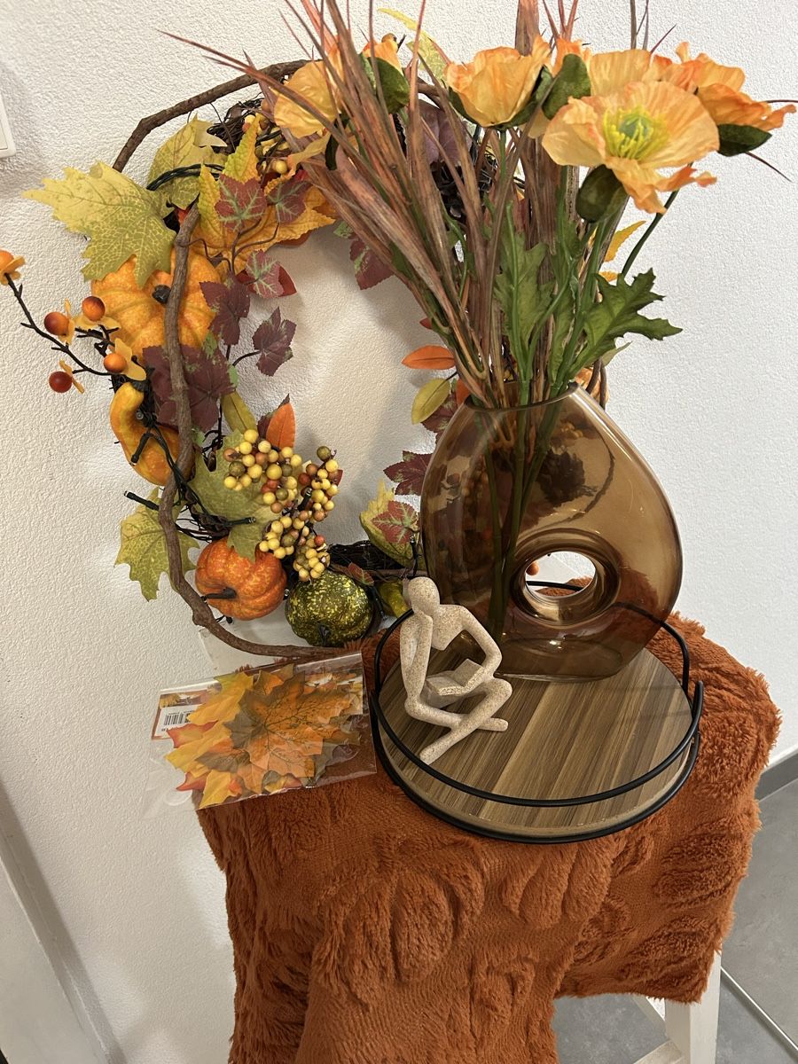 Tutte le decorazioni: Lot de décoration d’automne – Usato da Perroy venduto da MR6.