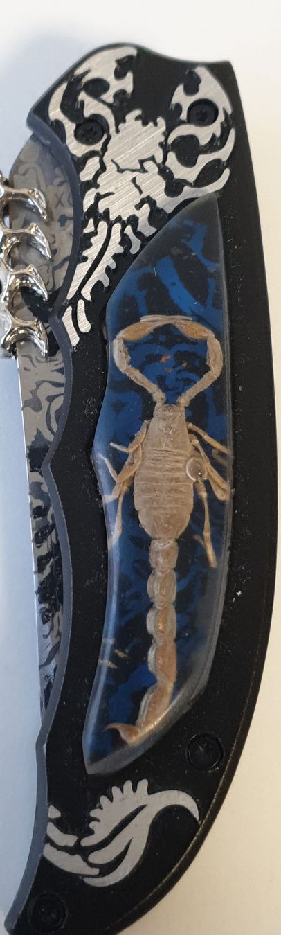 Coltelli tascabile: Couteau de poche scorpion/ Messer – Usato da St-Sulpice VD venduto da Miwix 1