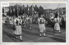Trachtenumzug - Basel Mustermesse