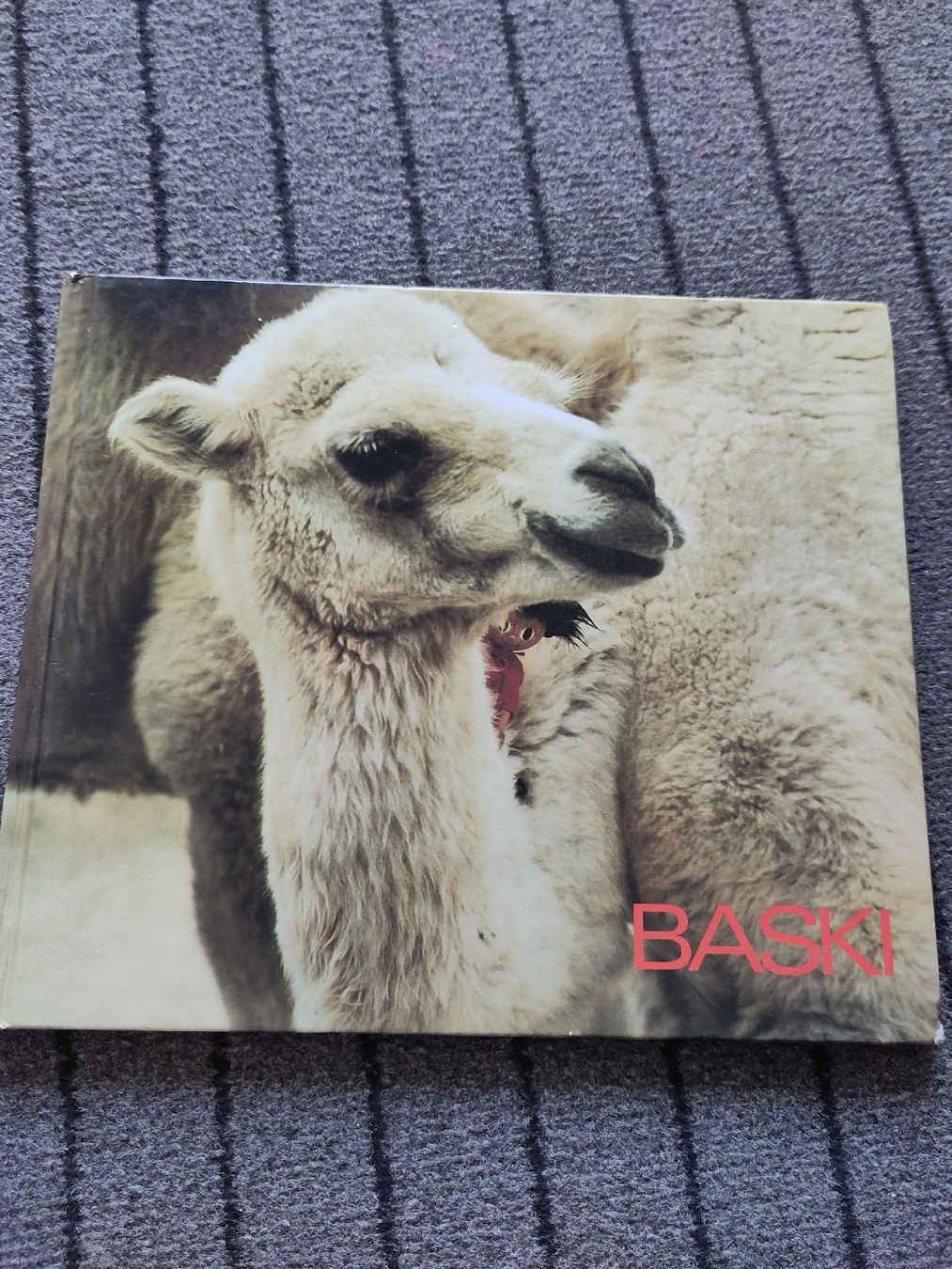 Libri: BASKI, Kinderbuch, Klassiker – Usato da Dettighofen Lengw. venduto da mai_75wt