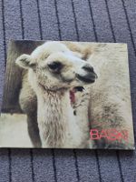 BASKI, Kinderbuch, Klassiker
