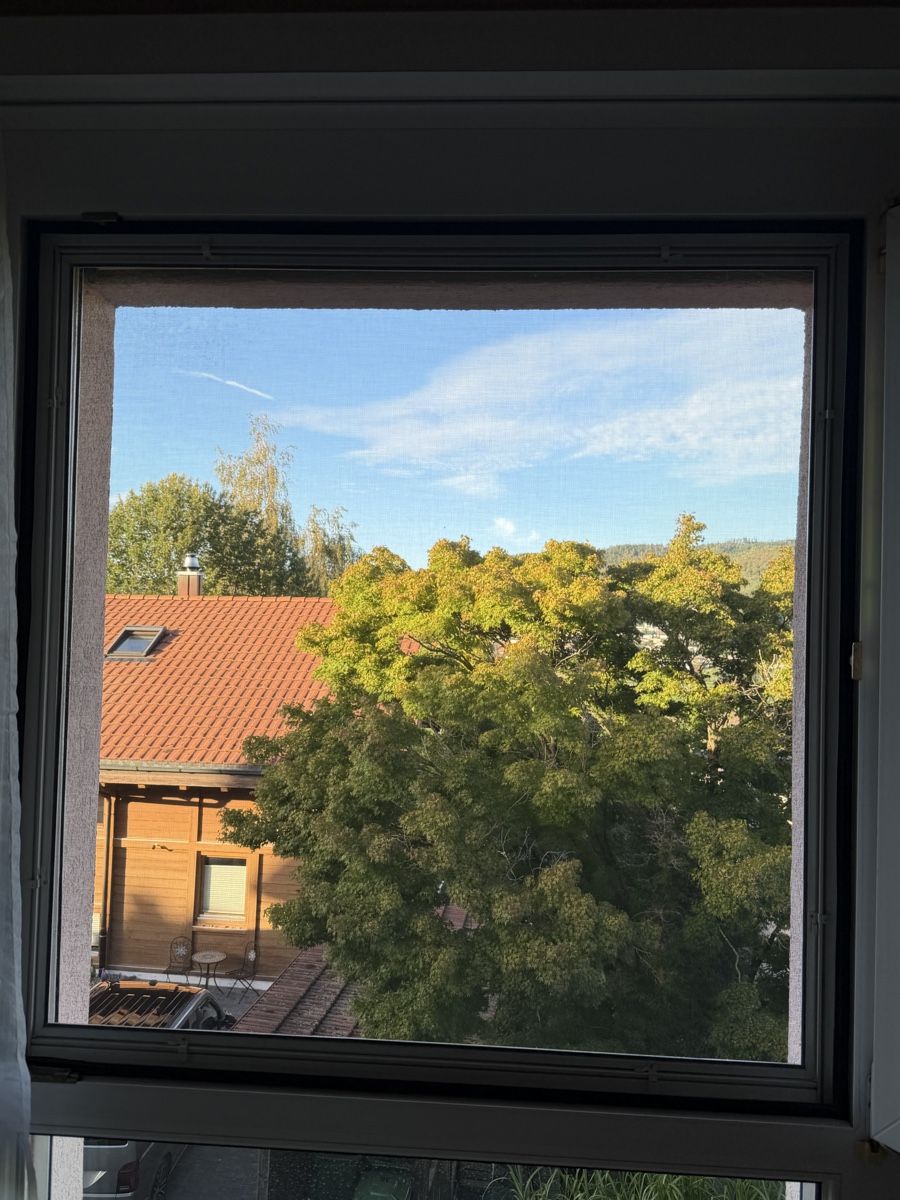 Sonstiges für Haushalt & Wohnen:       Fliegengitter / Moskitonetz – Gebraucht aus Reinach AG von lor_l2ql