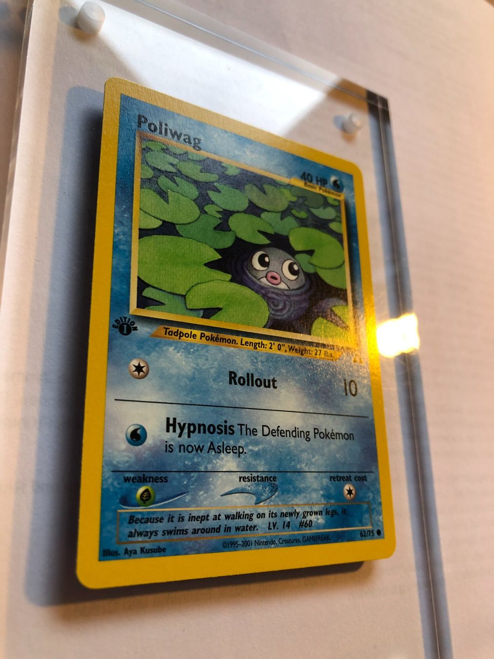 Carte collezionabili: Poliwag 1st Neo Discovery - MINT - ab 1.- – Usato da Giubiasco venduto da dan_pr8b 1