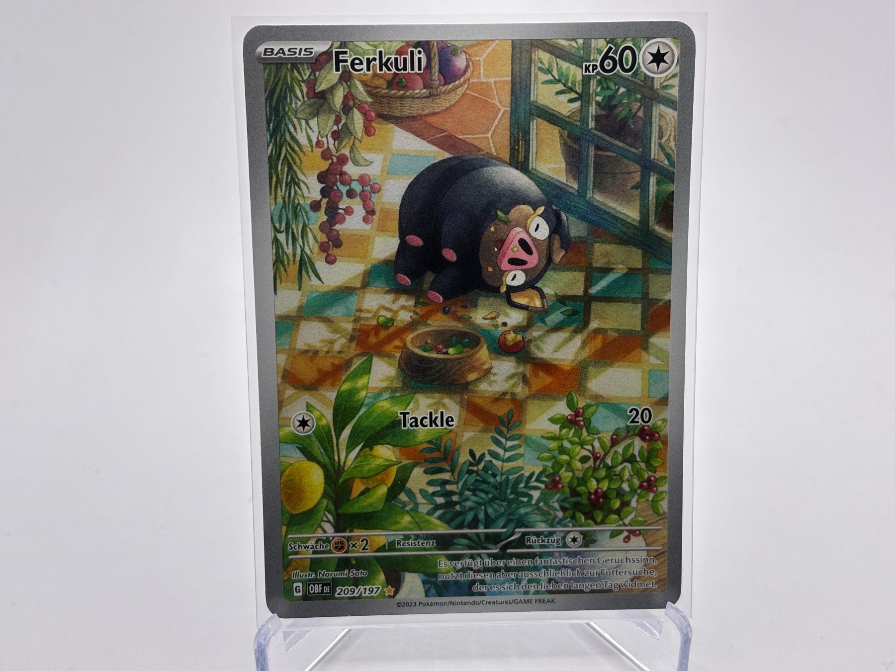 Pokémon Carte collezionabili: Obsidianflammen - Ferkuli (OBF 209) - DE – Nuovo (secondo la descrizione) da Allschwil venduto da Bullach