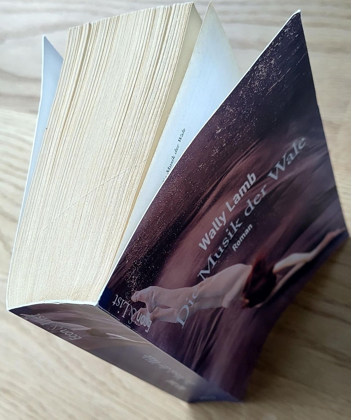 Libri: Die Musik der Wale - Wally Lamb – Usato da Zürich venduto da kba_579s 2