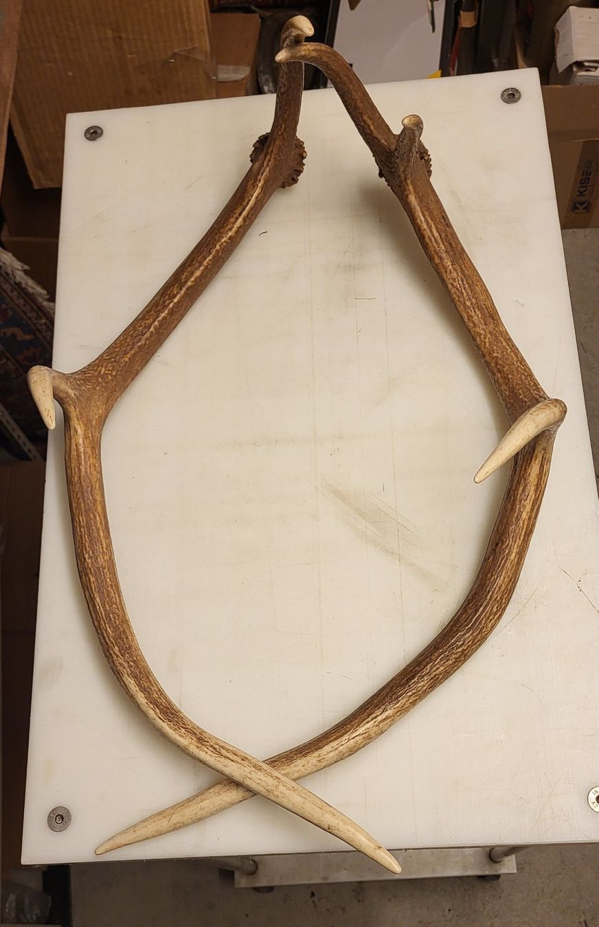 Il mondo degli animali: Vintage Bois de Serf – Usato da Villars-sur-Glâne venduto da rifzari 1