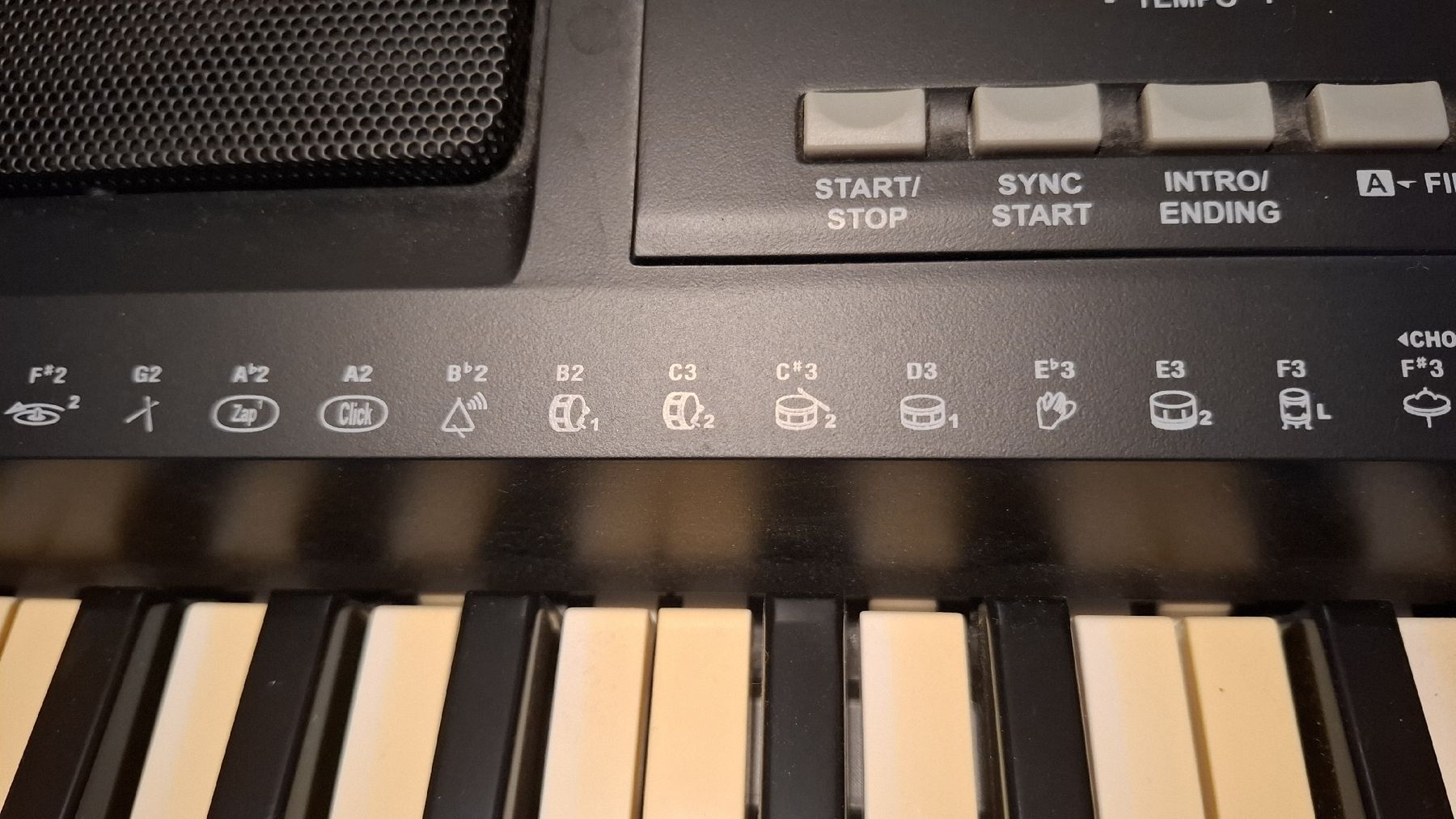 Strumenti musicali: Keyboard multifunktional – Usato da Brünisried venduto da san_74_bu 5